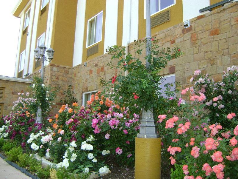 Blanco River Hotel Exterior photo