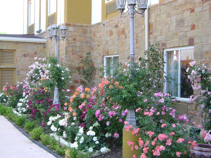 Blanco River Hotel Exterior photo